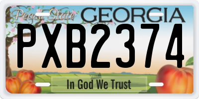 GA license plate PXB2374