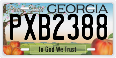 GA license plate PXB2388