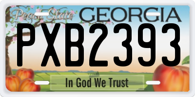 GA license plate PXB2393