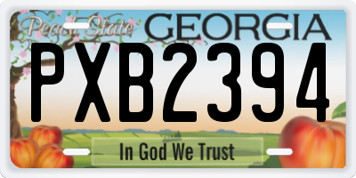 GA license plate PXB2394