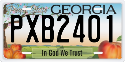 GA license plate PXB2401