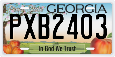 GA license plate PXB2403