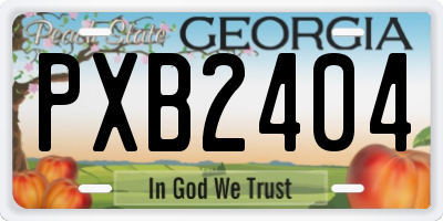 GA license plate PXB2404
