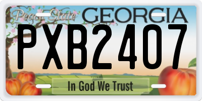 GA license plate PXB2407