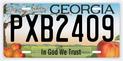 GA license plate PXB2409