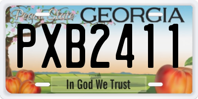 GA license plate PXB2411