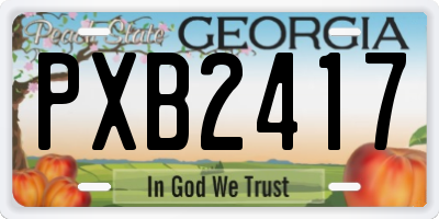 GA license plate PXB2417