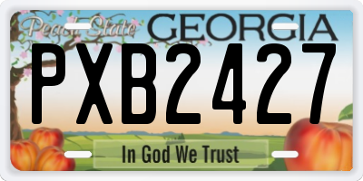 GA license plate PXB2427