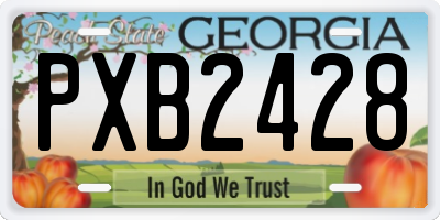 GA license plate PXB2428