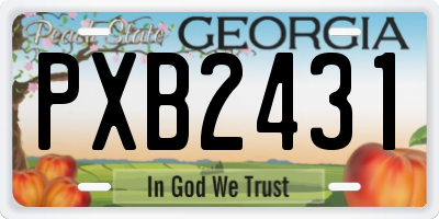 GA license plate PXB2431