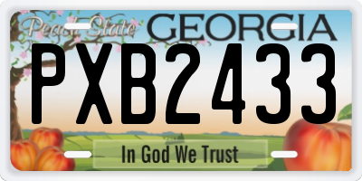 GA license plate PXB2433