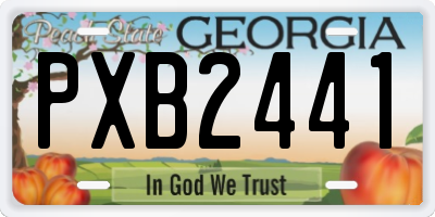 GA license plate PXB2441