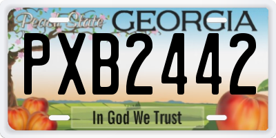GA license plate PXB2442