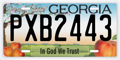 GA license plate PXB2443