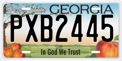 GA license plate PXB2445
