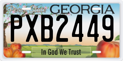 GA license plate PXB2449
