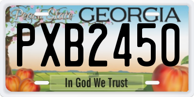 GA license plate PXB2450