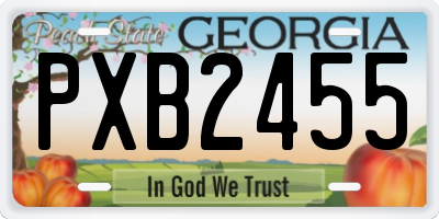 GA license plate PXB2455