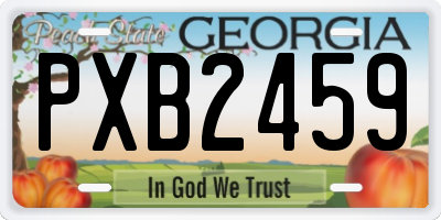 GA license plate PXB2459