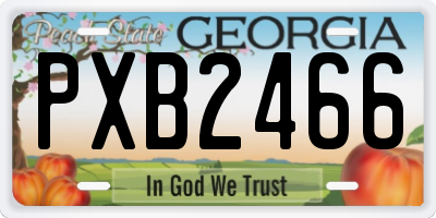 GA license plate PXB2466