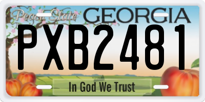 GA license plate PXB2481