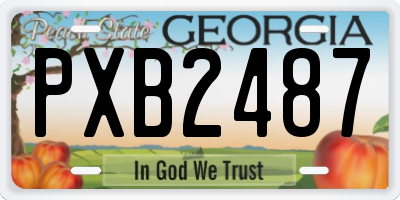 GA license plate PXB2487