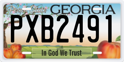 GA license plate PXB2491