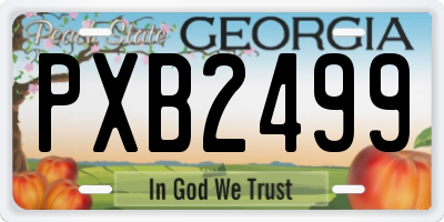 GA license plate PXB2499