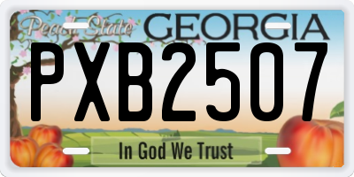 GA license plate PXB2507