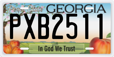 GA license plate PXB2511