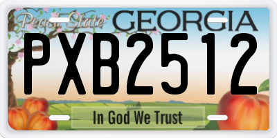 GA license plate PXB2512