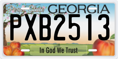 GA license plate PXB2513