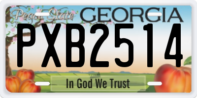 GA license plate PXB2514