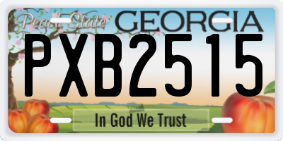 GA license plate PXB2515