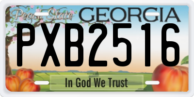 GA license plate PXB2516
