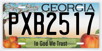 GA license plate PXB2517
