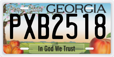 GA license plate PXB2518
