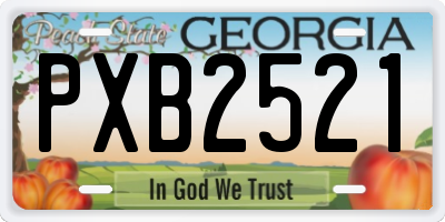 GA license plate PXB2521