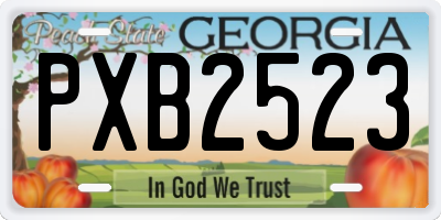 GA license plate PXB2523