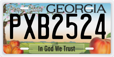 GA license plate PXB2524