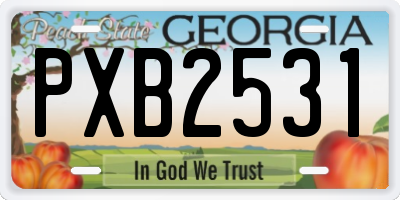 GA license plate PXB2531