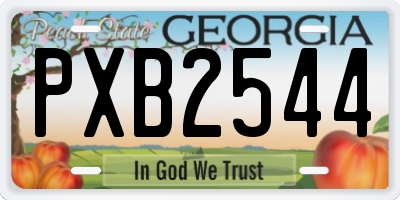 GA license plate PXB2544