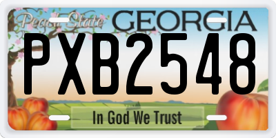 GA license plate PXB2548