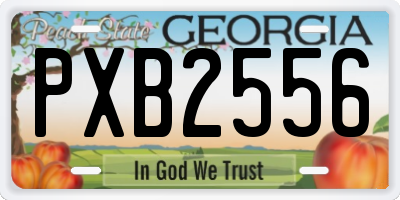 GA license plate PXB2556
