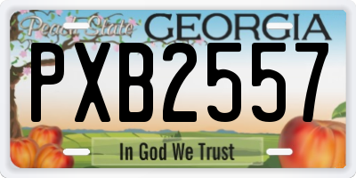 GA license plate PXB2557