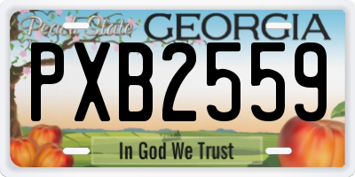 GA license plate PXB2559