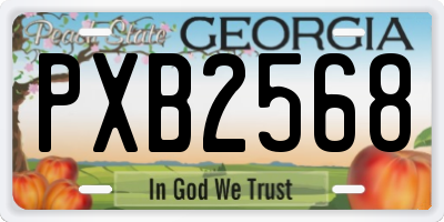 GA license plate PXB2568