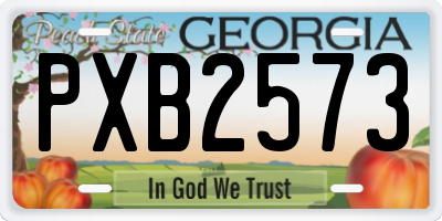 GA license plate PXB2573