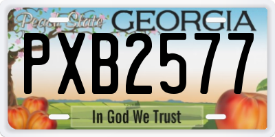 GA license plate PXB2577