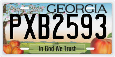 GA license plate PXB2593
